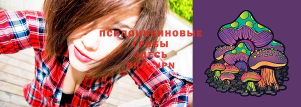 альфа пвп Нязепетровск